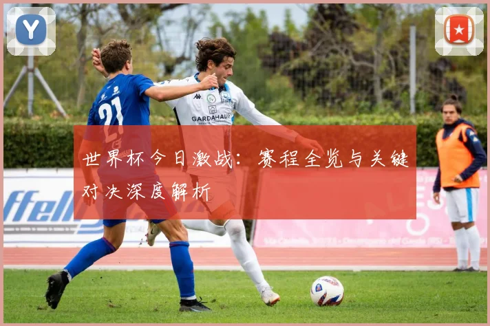 世界杯今日激战：赛程全览与关键对决深度解析